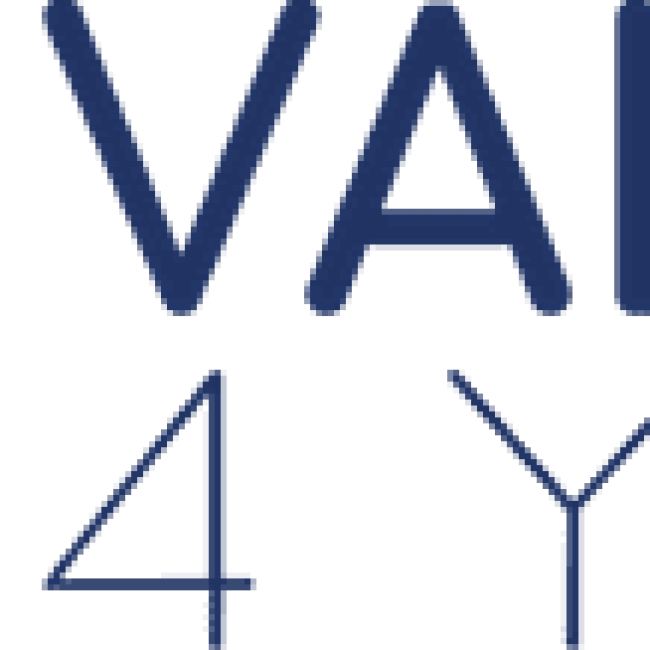 Value 4 You GmbH – Dominik Kop